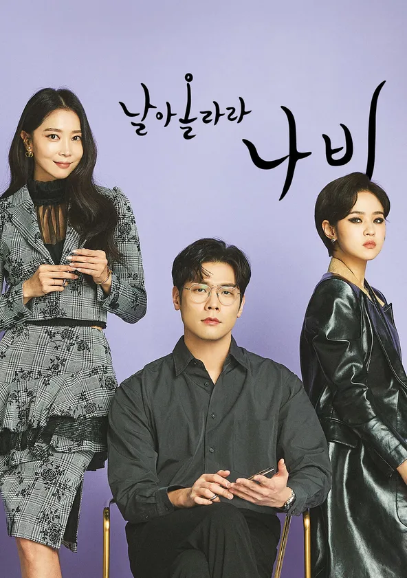 날아올라라 나비 poster